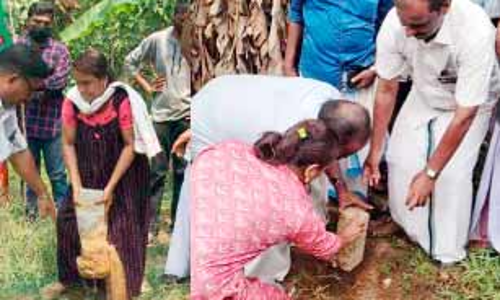 ബി.ജെ.പിക്കാർക്കൊപ്പം വീട്ടമ്മ കെ റെയിൽ കല്ല് പിഴുതു; സി.പി.എമ്മുകാർക്കൊപ്പം പുനഃസ്ഥാപിച്ചു