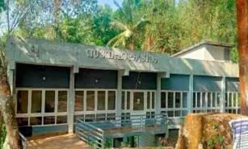 ലക്ഷങ്ങള്‍ ചെലവഴിച്ച് വനമധ്യത്തില്‍ നിർമിച്ച പകല്‍വീട് നശിക്കുന്നു