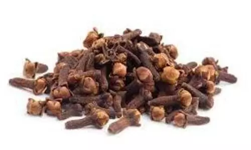 ഗ്രാമ്പൂ അമിതമായി കഴിച്ചാൽ ഉണ്ടാകുന്ന പാർശ്വഫലങ്ങൾ