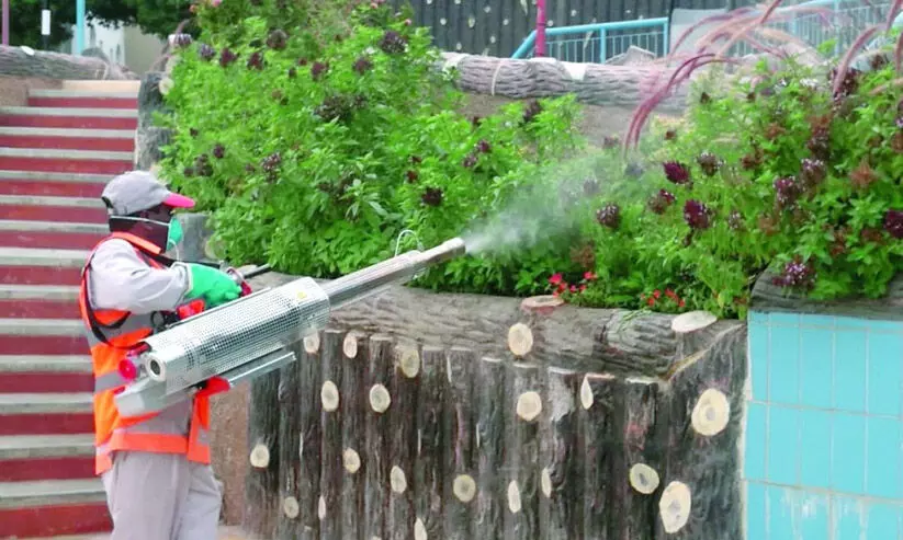 ഗൂബ്രയിൽ കൊതുക് നശീകരണം അതിവേഗം ഗൂബ്രയിൽ കൊതുക് നശീകരണം അതിവേഗം