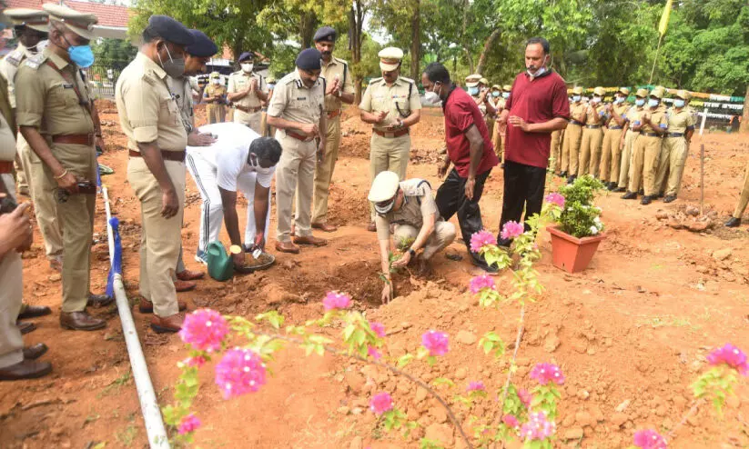 Police Academy to Grow Seedless Lemon