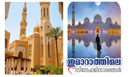 ഇതാണ്​ 500 ദിർഹം നോട്ടിലെ പള്ളി