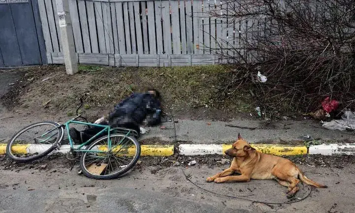 കൊല്ലപ്പെട്ട ഉടമയുടെ അടുത്തുനിന്നും മാറാതെ വളർത്തുനായ; യുക്രെയ്നിൽ കണ്ണീർ കാഴ്ചകൾ ഒടുങ്ങുന്നില്ല കൊല്ലപ്പെട്ട ഉടമയുടെ അടുത്തുനിന്നും മാറാതെ വളർത്തുനായ; യുക്രെയ്നിൽ കണ്ണീർ കാഴ്ചകൾ ഒടുങ്ങുന്നില്ല