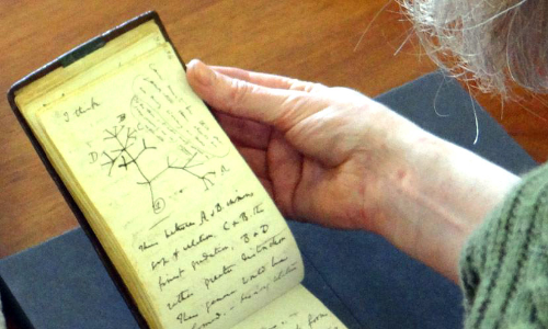 22 വർഷം കാണാമറയത്ത്, ഡാർവിന്റെ നോട്ട്ബുക്കുകൾ തിരിച്ചെത്തി