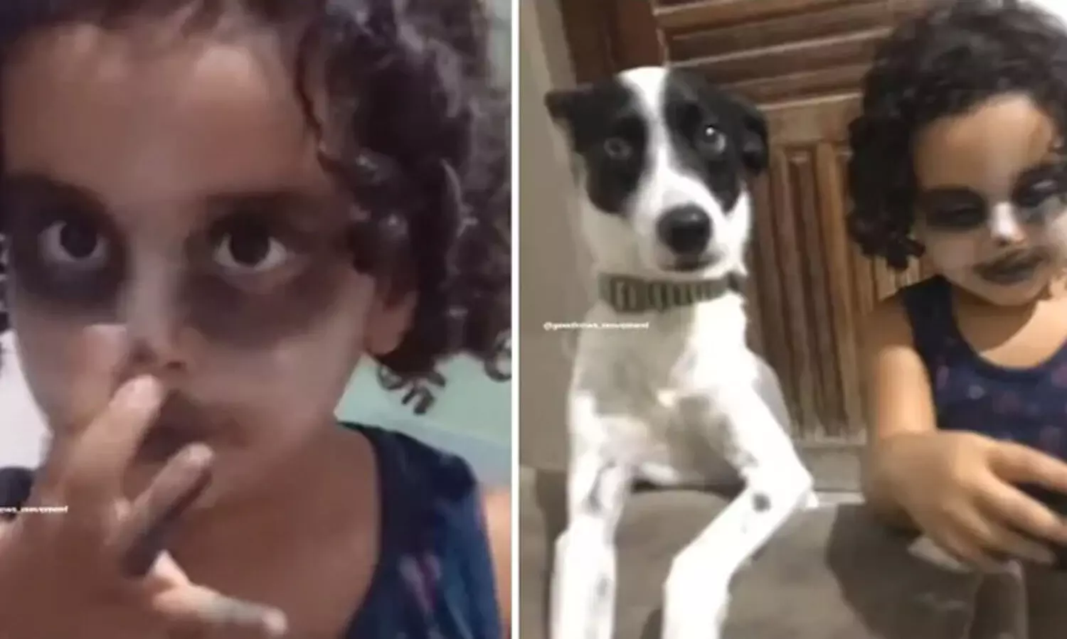 Little girl puts on makeup to look like pet dog: video goes viral