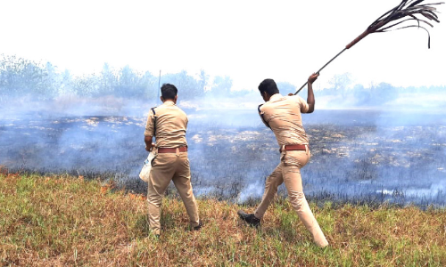 ചേറ്റുകുണ്ടിൽ ഇരുപതോളം ഏക്കറിൽ തീപിടിത്തം