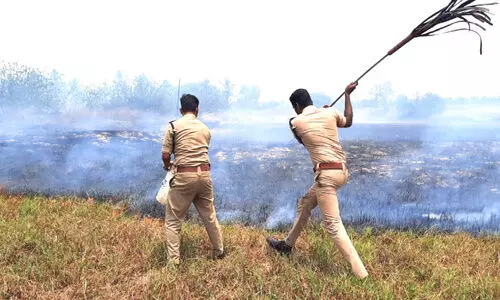 ചേറ്റുകുണ്ടിൽ ഇരുപതോളം ഏക്കറിൽ തീപിടിത്തം