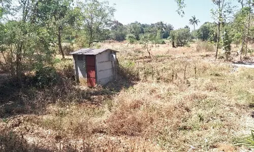 Nayadi Colony Development in file