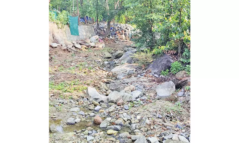 പൂനൂർ പുഴ വറ്റുന്നു; മലയോരമേഖലയിൽ കുടിവെള്ളക്ഷാമം രൂക്ഷം പൂനൂർ പുഴ വറ്റുന്നു; മലയോരമേഖലയിൽ കുടിവെള്ളക്ഷാമം രൂക്ഷം