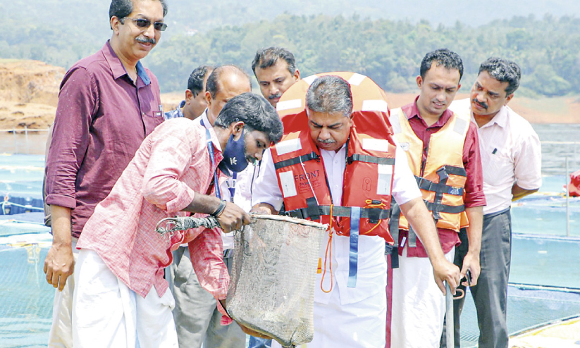 ബാണാസുരയിലെ കൂട് മത്സ്യകൃഷി: 200 ടണ് മത്സ്യം ഉൽപാദിപ്പിച്ചെന്ന് മന്ത്രി ബാണാസുരയിലെ കൂട് മത്സ്യകൃഷി: 200 ടണ് മത്സ്യം ഉൽപാദിപ്പിച്ചെന്ന് മന്ത്രി