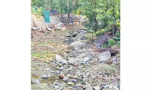 പൂനൂർ പുഴ വറ്റുന്നു; മലയോരമേഖലയിൽ കുടിവെള്ളക്ഷാമം രൂക്ഷം