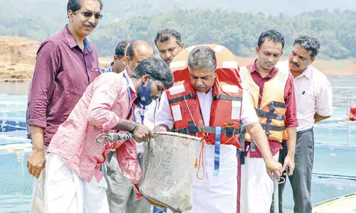 ബാണാസുരയിലെ കൂട് മത്സ്യകൃഷി: 200 ടണ്‍ മത്സ്യം ഉൽപാദിപ്പിച്ചെന്ന് മന്ത്രി