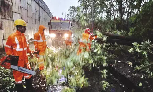 കാറ്റും മഴയും; ജില്ലയിൽ വ്യാപക നാശം