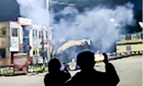 wild elephant attack