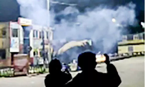 wild elephant attack