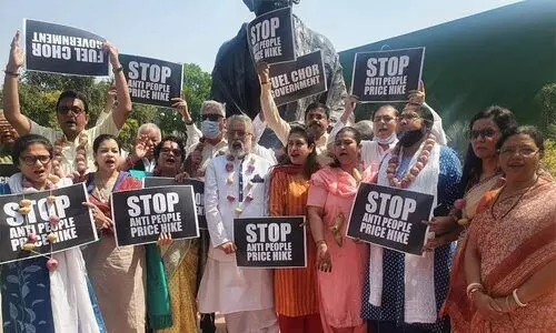 വിലക്കയറ്റത്തിനെതിരെ തൃണമൂൽ എം.പിമാർ പാർലമെന്‍റ് വളപ്പിൽ പ്രതിഷേധിച്ചു
