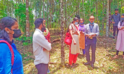 കാര്‍ഷിക വിളകളിലെ രോഗപ്പകര്‍ച്ച:  ശാസ്ത്രസംഘം ചെറുപുഴ സന്ദർശിച്ചു