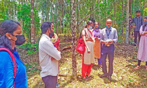 കാര്‍ഷിക വിളകളിലെ രോഗപ്പകര്‍ച്ച:  ശാസ്ത്രസംഘം ചെറുപുഴ സന്ദർശിച്ചു