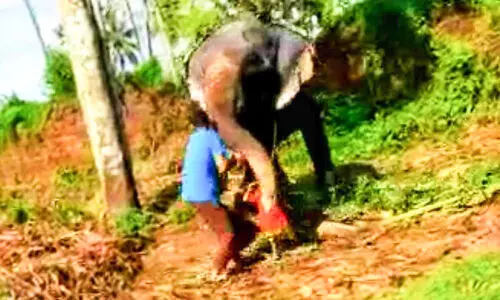 ആനയുടെ ആക്രമണത്തിൽനിന്ന് പിതാവും മകനും രക്ഷപ്പെടുന്ന വിഡിയോ വൈറൽ