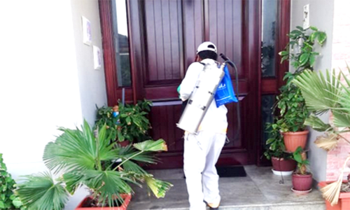 ഡെങ്കിപ്പനി: 3,666 വീടുകളിൽ കൊതുക് നശീകരണി തളിച്ചു