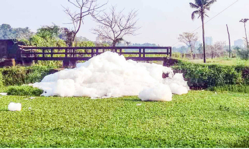 തുതിയൂരിൽ മലിനജലം പതഞ്ഞുപൊങ്ങി