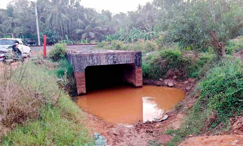 പതിനെട്ടടവും പയറ്റി, ഈ അടിപ്പാതയിലെ വെള്ളക്കെട്ട് മാത്രം മാറിയില്ല പതിനെട്ടടവും പയറ്റി, ഈ അടിപ്പാതയിലെ വെള്ളക്കെട്ട് മാത്രം മാറിയില്ല