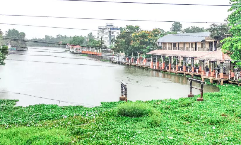 മഴ കനിഞ്ഞു; കോടിമത ജെട്ടിയിൽ ബോട്ടുകൾക്ക് സുഖസവാരി