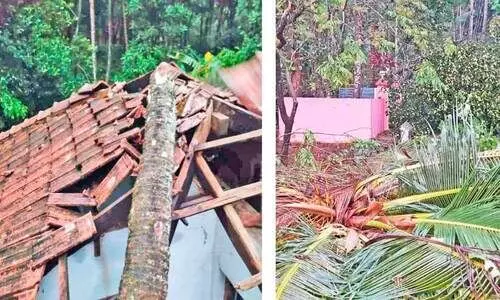 ശക്തമായ മഴ‍യും കാറ്റും; മലയോരത്ത് വ്യാപക നാശനഷ്ടം