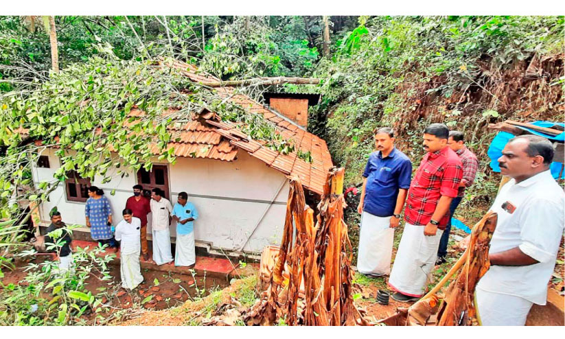 ചുഴലിക്കാറ്റ്; മലയോരത്ത് കോടികളുടെ നഷ്ടം ചുഴലിക്കാറ്റ്; മലയോരത്ത് കോടികളുടെ നഷ്ടം
