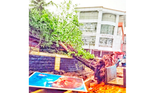 മഴയിലും കാറ്റിലും പരക്കെ നാശനഷ്ടം