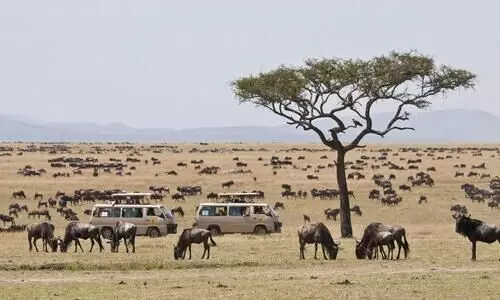 Maasai Mara