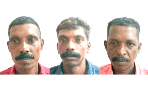 വീടുകയറി ആക്രമണം: മൂന്നുപേർ കൂടി പിടിയിൽ