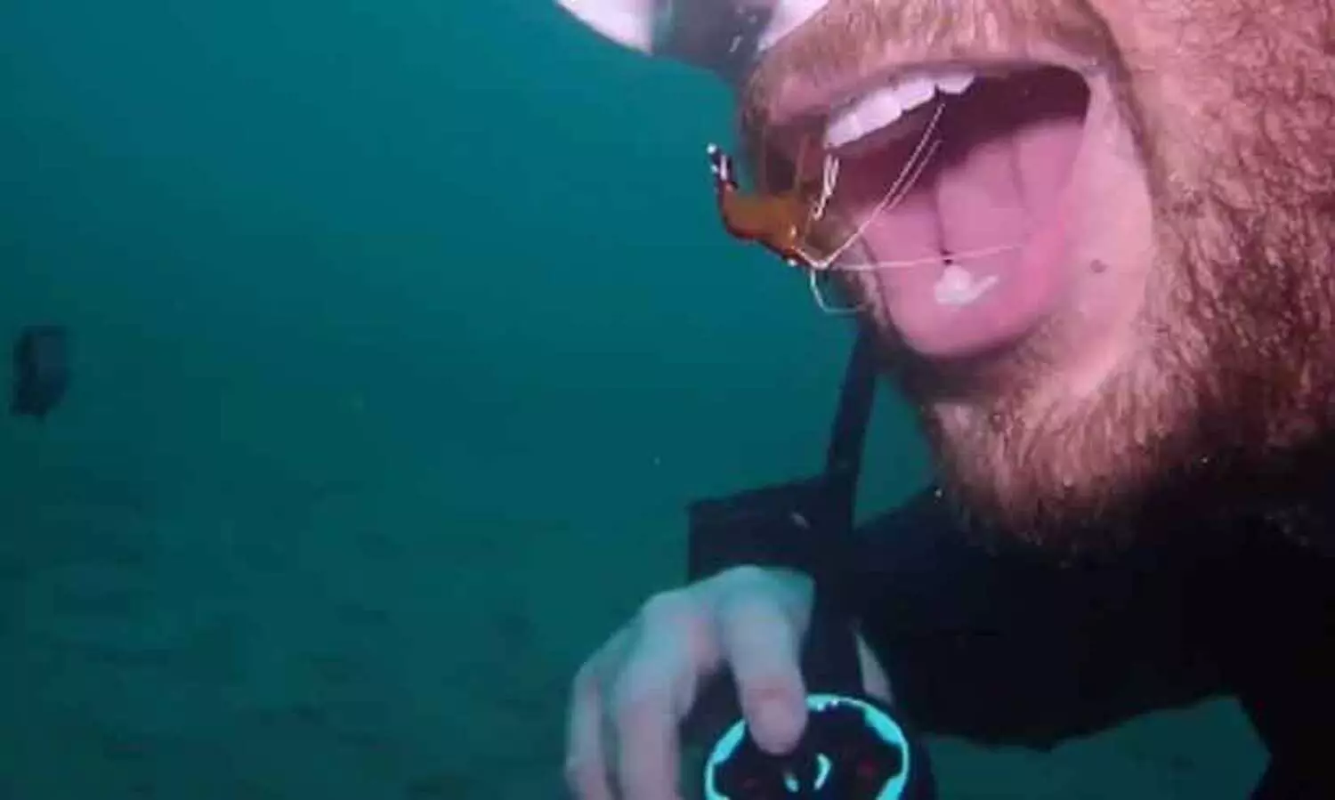 പല്ലുകൾ വൃത്തിയാക്കാൻ ചെമ്മീൻ; വൈറലായി വീഡിയോ