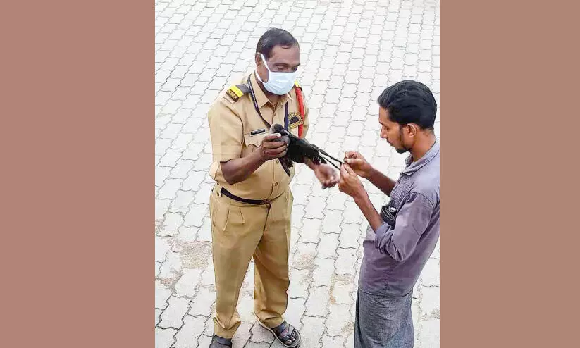 Security guards rescue a crow