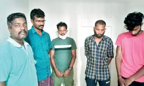 cannabis seized cannabis seized