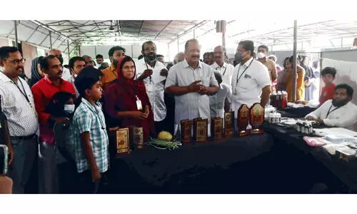 വീണ്ടും ലൈവായി മതിലകം ഓൺലൈൻ നാട്ടുചന്ത