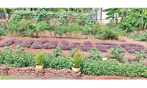 യുദ്ധം വേണ്ട; ചീരയില്‍ തീര്‍ത്ത സന്ദേശവുമായി ജയില്‍ അന്തേവാസികള്‍