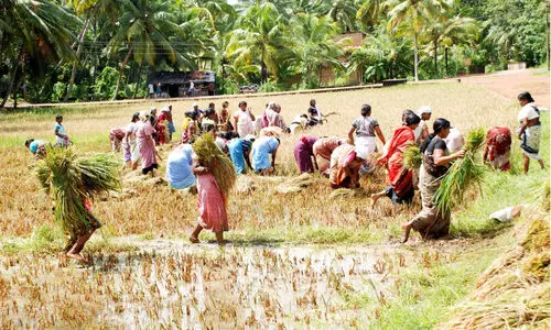 Vallikunnam in the beauty of the landscape