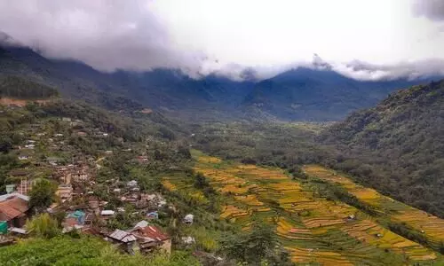 nagaland