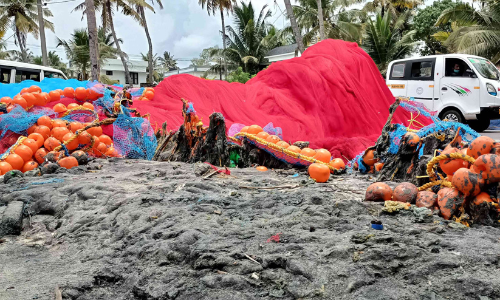 10 ലക്ഷം രൂപയുടെ മത്സ്യബന്ധന വല തീയിട്ട് നശിപ്പിച്ചു