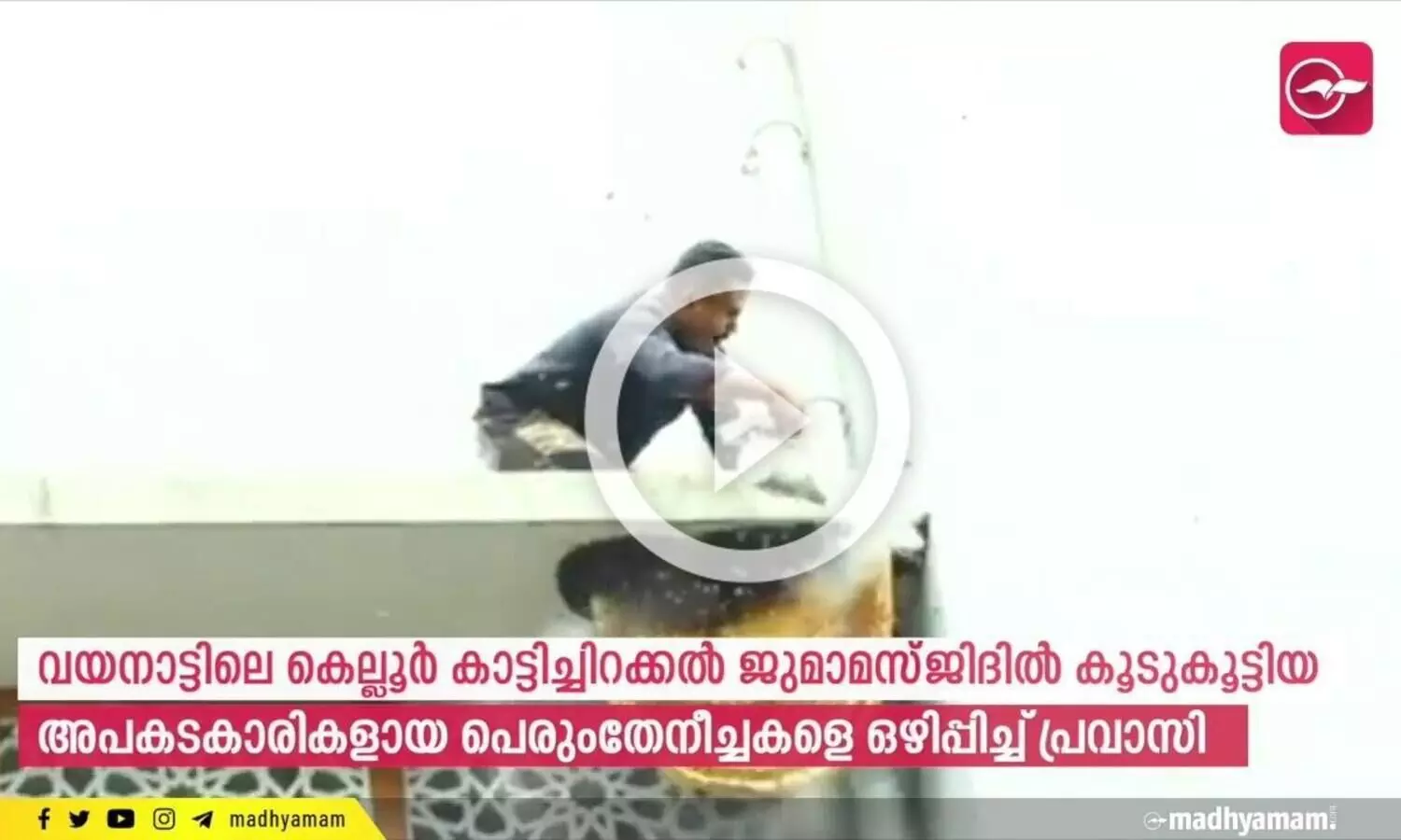 മസ്ജിദിലെ ഭീമൻ തേനീച്ചക്കൂട് ഒഴിപ്പിച്ച് പ്രവാസി