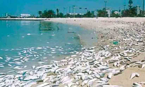 കടൽവെള്ളത്തിൽ മാലിന്യം വർധിച്ചു; മുന്നറിയിപ്പുമായി അധികൃതർ