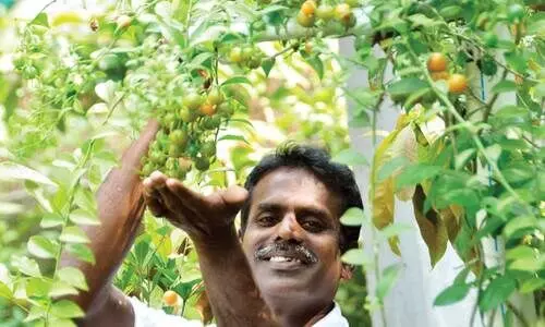 വെറും 20 സെന്‍റ് വീട്ടുമുറ്റത്ത് 27 രാജ്യങ്ങളിലെ 200ലധികം പഴവർഗങ്ങൾ കൃഷി ചെയ്യുന്ന മൊയ്തീനെ പരിചയപ്പെടാം...