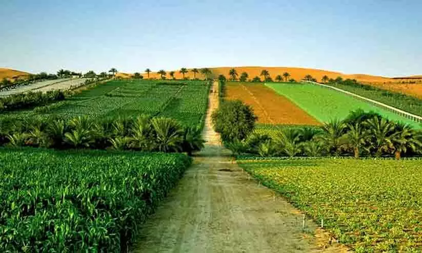 കാർഷിക മേഖലയുടെ വികസനത്തിന് പുതിയ പദ്ധതി