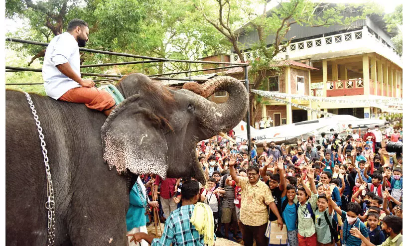 പെണ്ണാനക്ക് എന്താ കൊമ്പില്ലാത്തേ... അവധിക്കാല ക്യാമ്പിൽ കൗതുകമായി ലക്ഷ്മിക്കുട്ടി