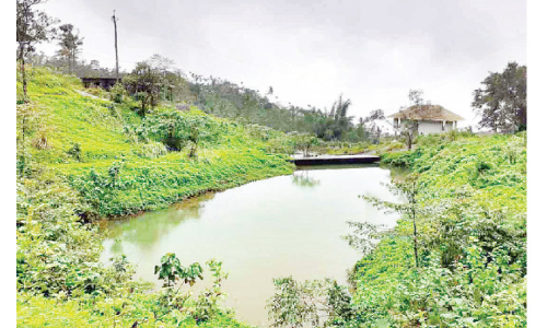 കക്കാടംപൊയിലിലെ അനധികൃത തടയണകൾ; അഭിഭാഷക കമീഷന്റെ പരിശോധന ഏകപക്ഷീയമെന്ന് ആക്ഷേപം