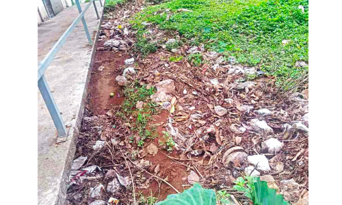 കേളോത്ത് തോടിന്റെ പരിസരത്ത് പ്ലാസ്റ്റിക് കൂമ്പാരം; വീടുകളിലേക്ക് മലിനജലം കേളോത്ത് തോടിന്റെ പരിസരത്ത് പ്ലാസ്റ്റിക് കൂമ്പാരം; വീടുകളിലേക്ക് മലിനജലം