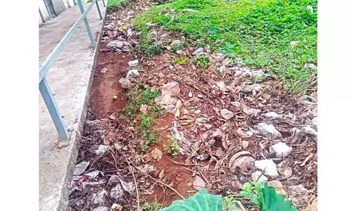 കേളോത്ത് തോടിന്റെ പരിസരത്ത് പ്ലാസ്റ്റിക് കൂമ്പാരം; വീടുകളിലേക്ക് മലിനജലം