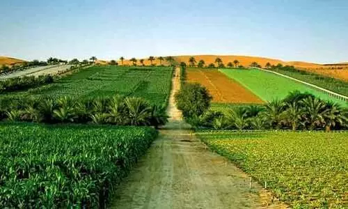 കാർഷിക മേഖലയുടെ വികസനത്തിന് പുതിയ പദ്ധതി