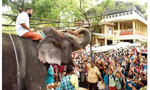 പെണ്ണാനക്ക് എന്താ കൊമ്പില്ലാത്തേ... അവധിക്കാല ക്യാമ്പിൽ കൗതുകമായി ലക്ഷ്മിക്കുട്ടി